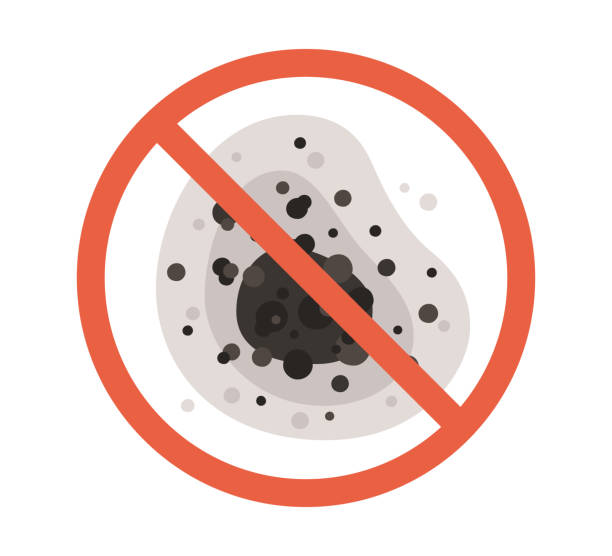 Reliable Haverhill, FL Mold Removal Solutions