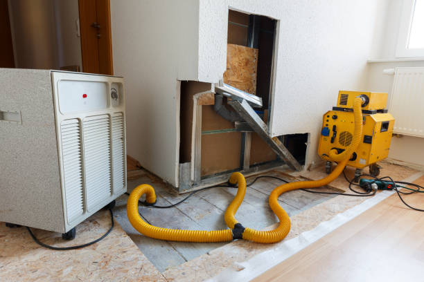 Dehumidification Services in Haverhill, FL