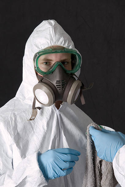 Best Attic Mold Removal  in Haverhill, FL